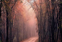 开云下载-法网横扫蒙特卡洛大师赛，梅德韦杰夫状态火热的简单介绍