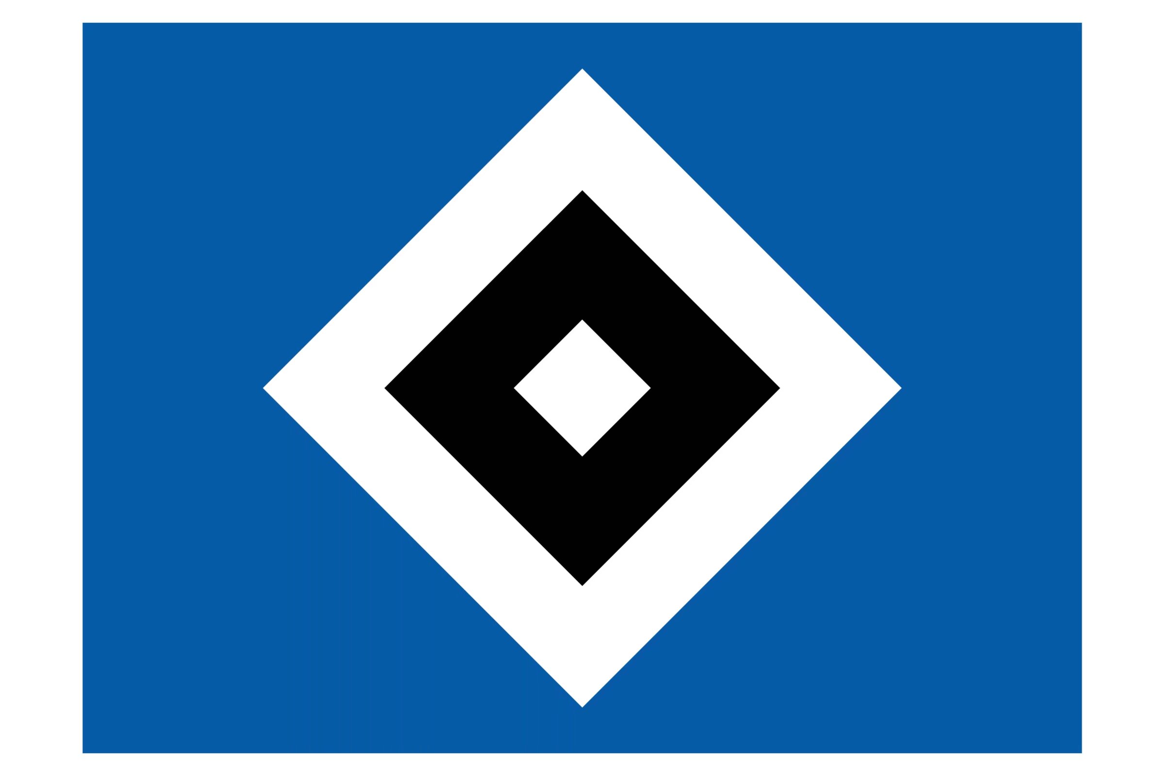 开云体育在线-汉堡遭遇失利,保级希望再次受挫